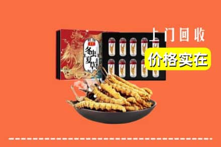 新化县回收冬虫夏草